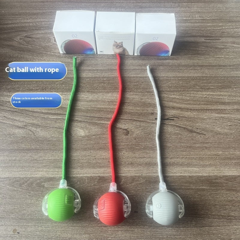 The Smart Prey™ Automatic Rolling Ball 2.0 (USB Rechargeable)